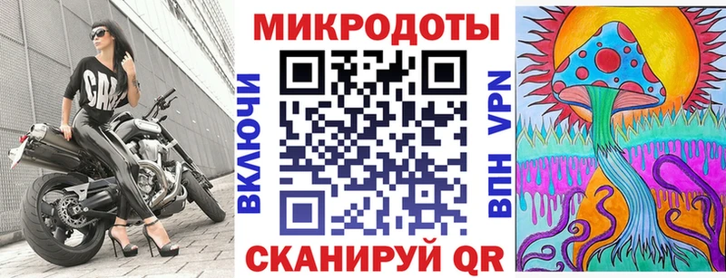 Купить  Чегем  Галлюциногенные грибы Magic Shrooms 