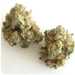 Шишки "White Widow"  (Белая вдова)  Гидропоника -  Бошка VHQ в Чегеме